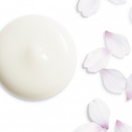 White Lucent Illuminating Micro-Spot Serum Shiseido