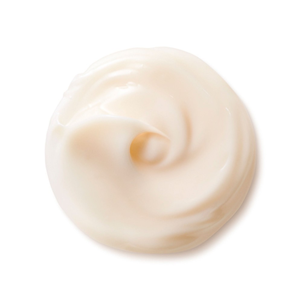Benefiance Nutriperfect Day Cream Spf15 Shiseido